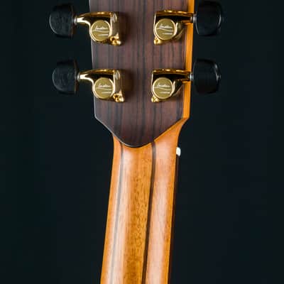 Lowden F-50 Brazilian Rosewood and Adirondack Spruce with Bevel NEW image 22