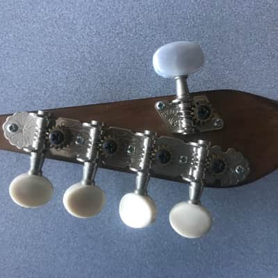 Nechville Banjovie ! One of a Kind! RARE Instrument w/ original Gigbag! Sale Benefits Music Education Nonprofit! image 6