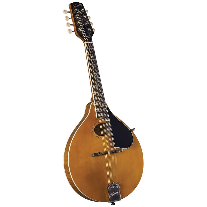 Kentucky KM-272 Deluxe Oval Hole A-Style Mandolin | Reverb Canada