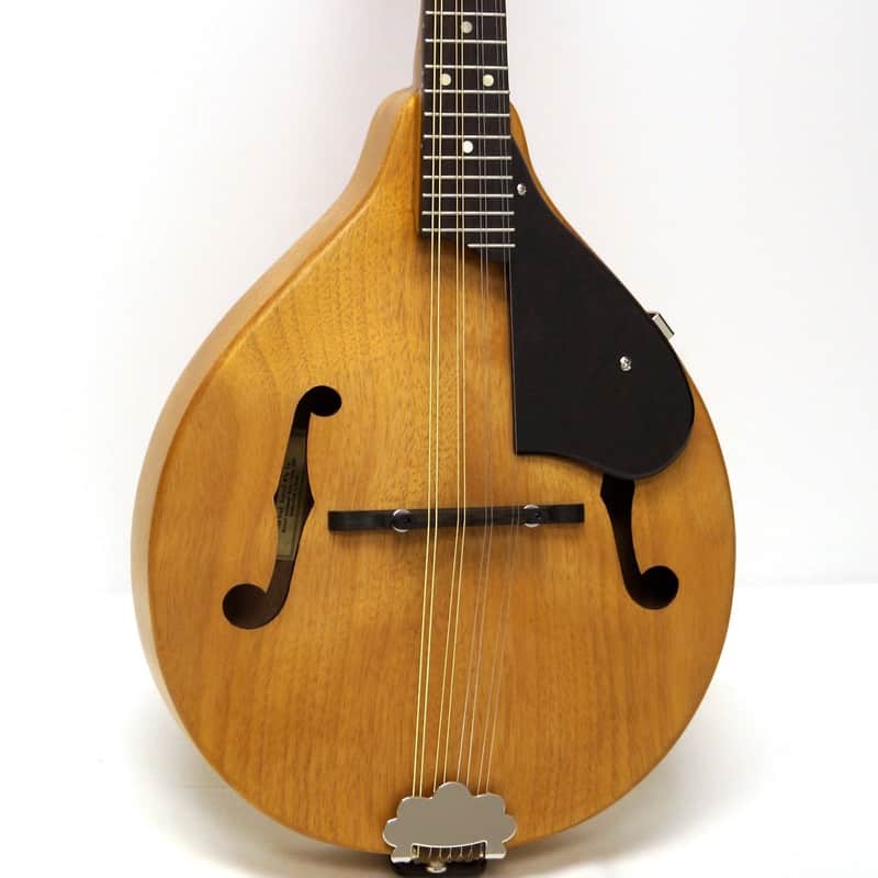 Gretsch G9310 New Yorker Supreme Mandolin image 1