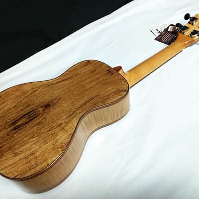 KALA Solid Spruce Top Flame Maple Concert UKULELE new UKE - KA-FMCG image 5