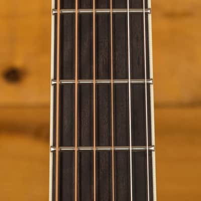National Reso-Phonic Style O GERMAN SILVER 12 Fret 2023 Mirror Nickel w/ Deco Palms image 8