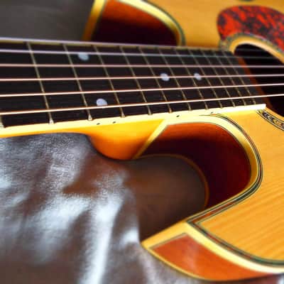 SG Style Acoustic-Electric image 7