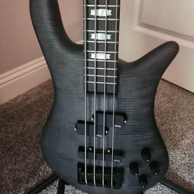 Spector Euro 4 LX image 3