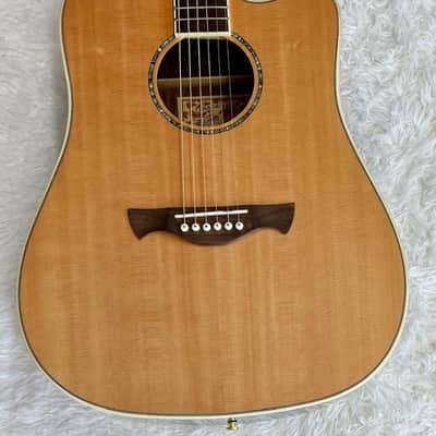 Tagima Canada Series Vancouver acoustic-electric guitar with hardshell case image 3