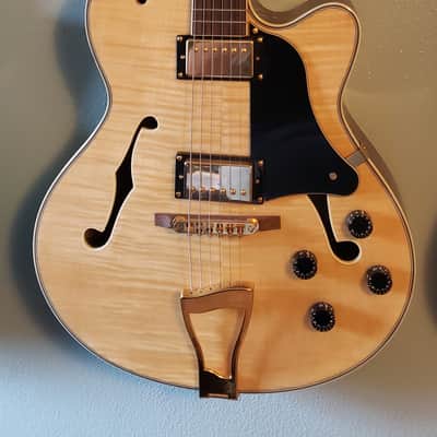 Johnson Las Vegas Hollow Body Jazz Guitar image 1