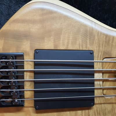 2018 Skjold Slayer 5 Exotic Stage Series 5String Bass Select Premium Myrtle Top image 6