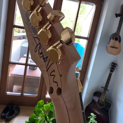 SIGNED by Steve Vai!!! Original Team J. Craft from Japan, Gold HW. image 7