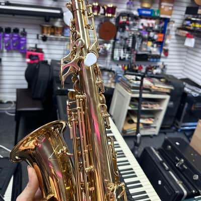 Vito Leblanc Alto Saxophone / 14844 A image 11