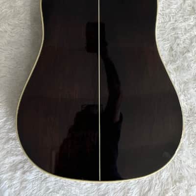 Tagima Canada Series Vancouver acoustic-electric guitar with hardshell case image 2