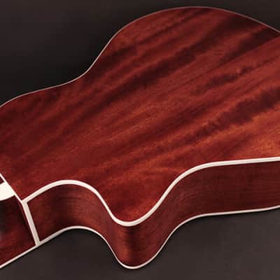 Cort GA-MEDX-12 | 12-String Acoustic / Electric Guitar. New with Full Warranty! image 10