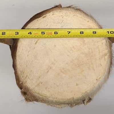 Djembe Drum African Hand Carved W/ 7" Goat Skin Head Height 12" image 7