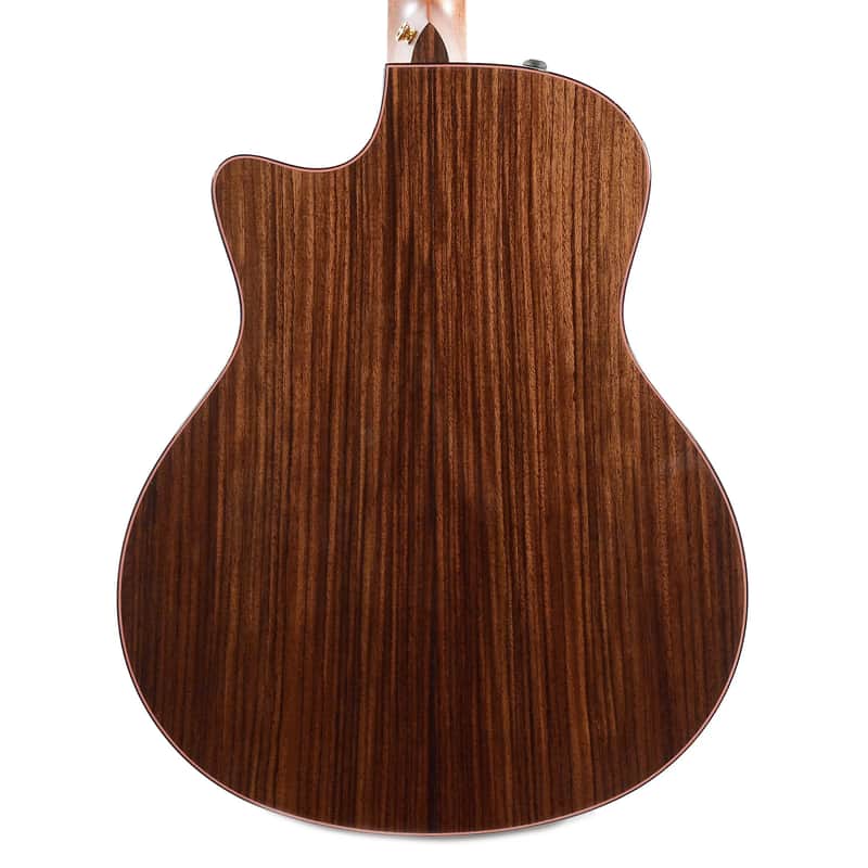 Taylor 916ce with ES2 Electronics image 3