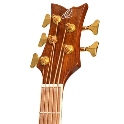 Ortega D8CE-5-L Deep Series 8 Spruce Top Medium Scale 5-String Acoustic-Electric Bass Guitar For Left Hand Player image 15