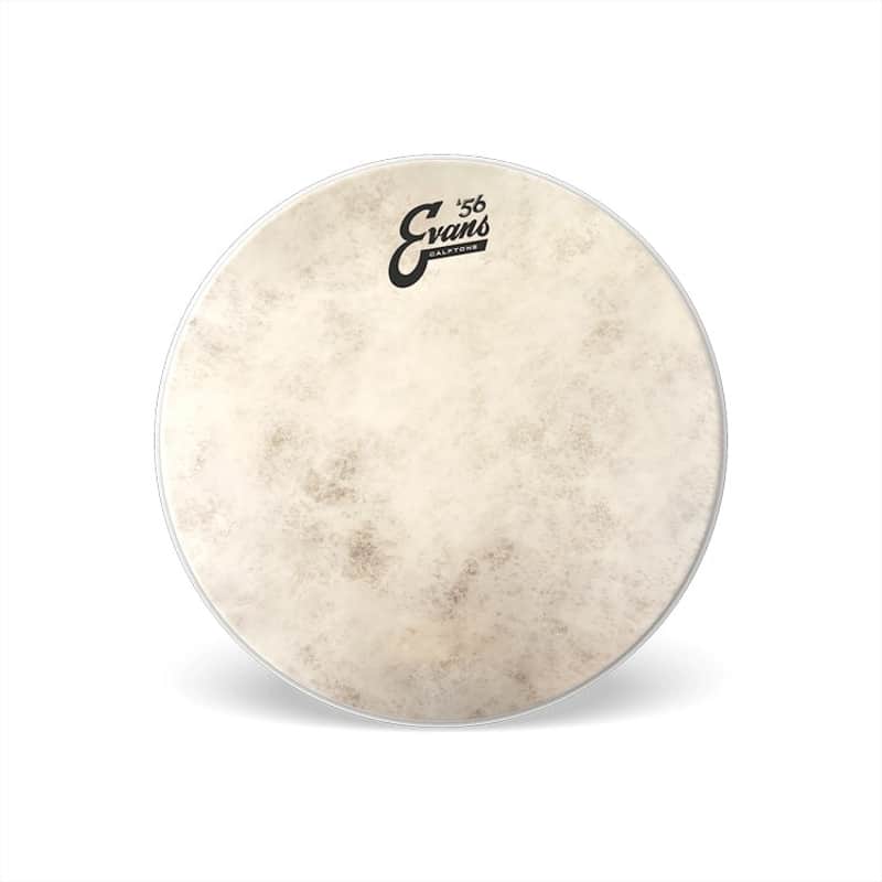 Evans TT12C7 Calftone Tom Batter 12 inch image 1