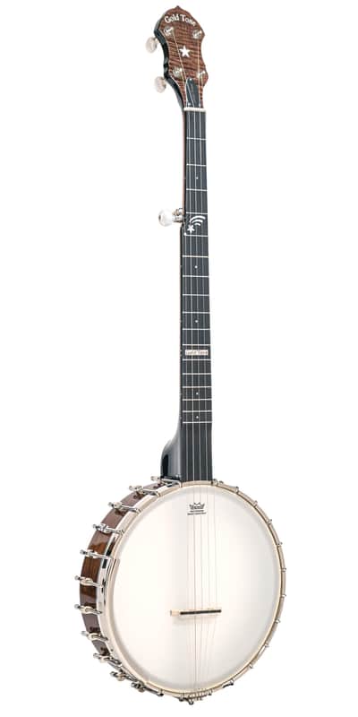 Gold Tone 5-String Open Back Banjo w/ Gig Bag image 1