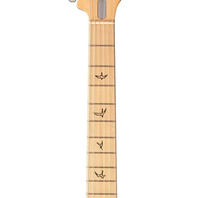 PRS Silver Sky John Mayer Signature with Maple Fretboard 2020 - Present - Dodgem Blue  ***In Exhibition*** image 3