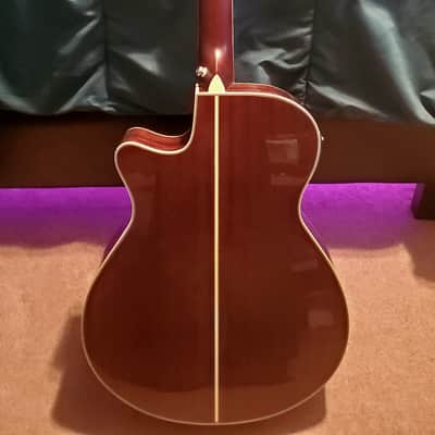 Ibanez AEG12II-NMH Beginner Guitar w/ Hard Case image 2
