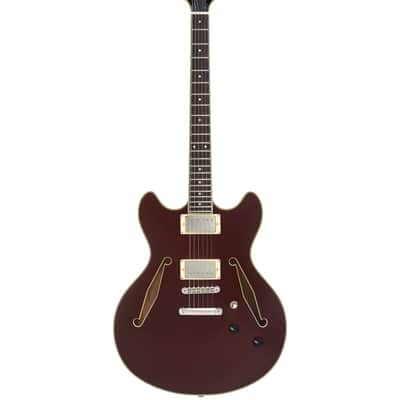 Guitare Electrique D'ANGELICO Excel DC Tour Solid Wine image 1