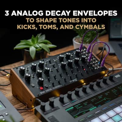 Moog DFAM Drummer From Another Mother image 7