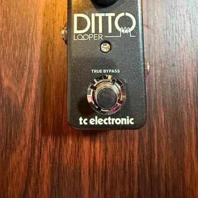 TC Electronic Ditto Looper | Reverb