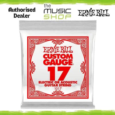 Ernie Ball Single Plain Steel .017 Electric or Acoustic Guitar String - P01017 image 1