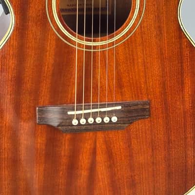 Jay Turser JTAC-50EQ Acoustic-Electric Cutaway Guitar w/ Brand New Great Divide Gig Bag image 3