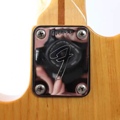 1973 Fender Telecaster natural image 9