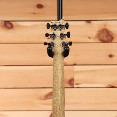 Paul Reed Smith Modern Eagle V Wood Library - Angry Larry - 24 0397738 - PLEK'd image 10
