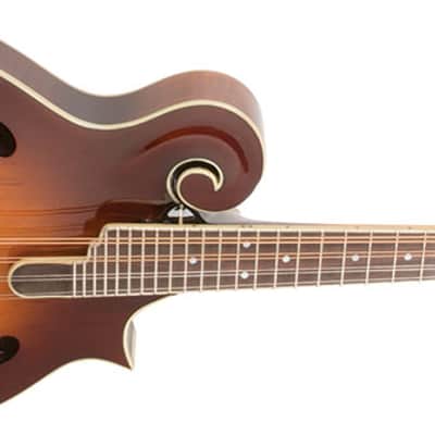 Washburn TCMF43SWK-LTD Timeless Collection Limited Edition F-Style Mandolin w/Hardshell Case image 3