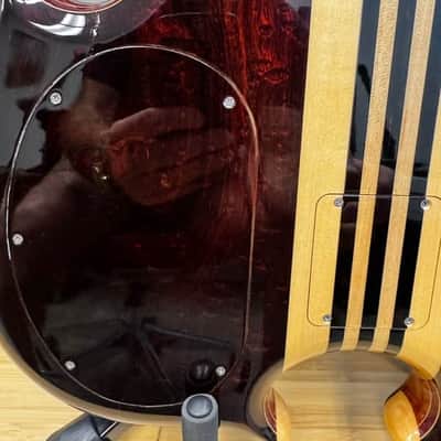Alembic Series II - The Roman Conqueror 2004 - Cocobolo image 18