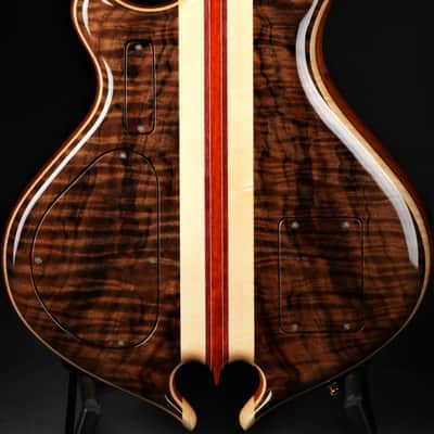 Alembic Darling - Fancy Walnut/Demo image 3
