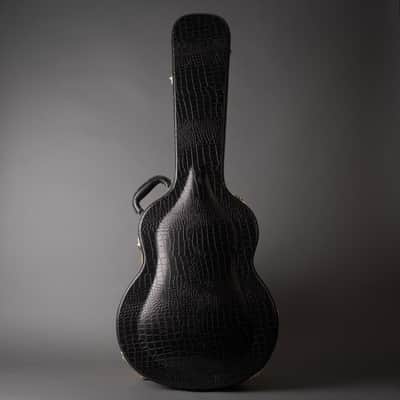 2007 Taylor T5-C2 Limited Macassar Ebony Top image 14