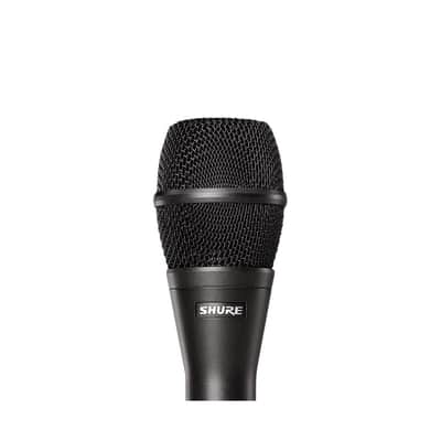 Shure KSM9-CG Microfono condensatore cardiode, supercardiode image 2