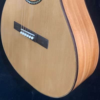 Blueberry Handmade Acoustic Parlor Guitar image 6