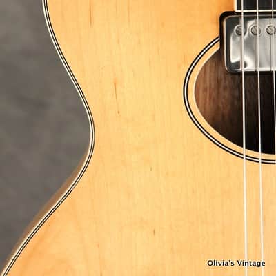 Hagstrom D'Aquisto made in Sweeden 1970's image 10