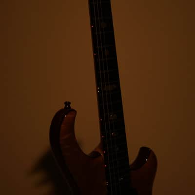 Alembic Darling image 12