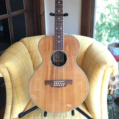 Alvarez 2551 12 String Limited Edition Silver Anniversary Model Gibson L-1 L-00 l-2 look-alike 5037 image 1