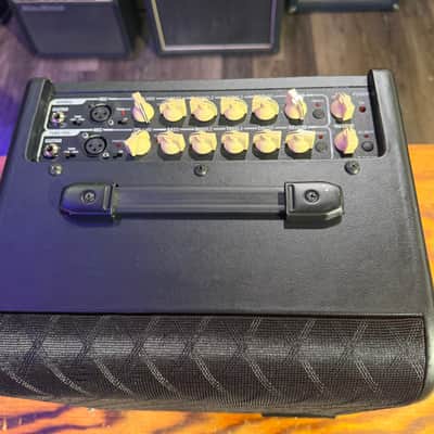 Vox Aga70 image 3