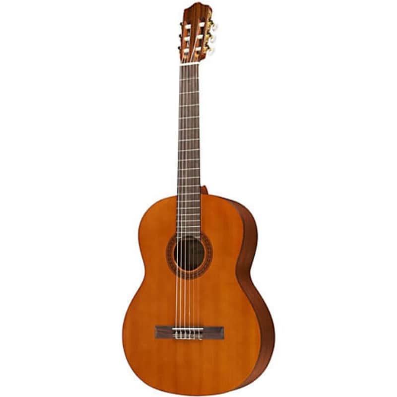 BRAND NEW Cordoba C5 Solid Cedar Top Acoustic Nylon-String Classical Guitar 2025 - cedar image 1