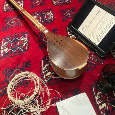 Vahid Manteghi Persian Setar (Intermediate) mid 2010s image 15