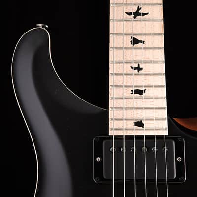 Paul Reed Smith DW CE 24 Floyd Dustie Waring Signature Black Top image 9