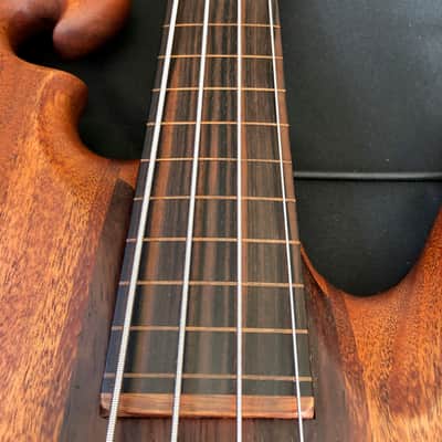 Carl Thompson Bass image 9