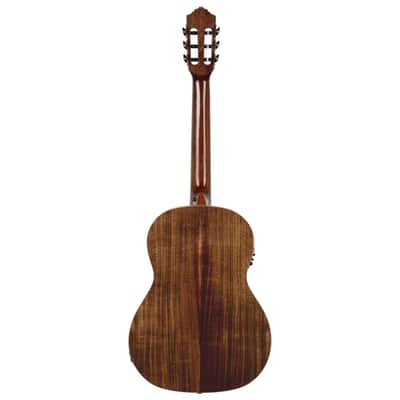 Ortega RE30TH-ACA 30th Anniversary - 4/4 classical guitar image 3
