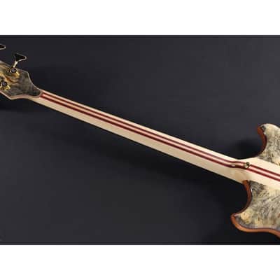 ALEMBIC SCSB4 Buckeye Resin [Stanley Clark Signature Deluxe w/Side LED's Blue] image 10
