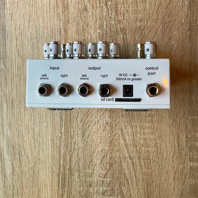 Empress Echosystem Dual Engine Delay image 2