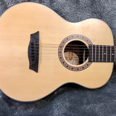 Washburn AGM5K G mini image 2