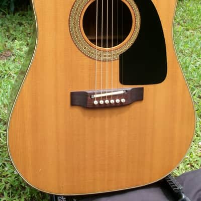 Pearl Dreadnought Acoustic Guitar made by Hayashi Gakki CIRCA 1977 image 3