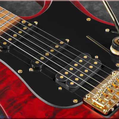 Immagine Ibanez SLM10-TRM Scott LePage - 4