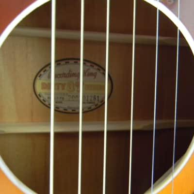 2020 Recording King Dirty 30's 7 Series Dreadnought Guitar Matte Tobacco Sunburst Brand New image 7